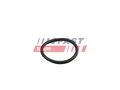 Für FAST FT49919 ORING MERCEDES SPRINTER 18> 907/910 COOL