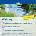 Söll 31430 AquaDes Pool Desinfektion Poolreinigung Wasserpflege Flüssig 1 Liter