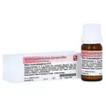 Rhus Toxicodendron D 12 Globuli 10 g