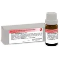 Rhus toxicodendron D12 10 g Globuli