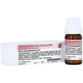 Dr. Reckeweg Rhus Toxicodendron D12 Globuli 10 g