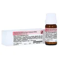 RHUS TOXICODENDRON D 12 Globuli 10 g