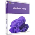 Microsoft Windows 11 Professional