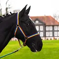 Pferdelinis Halfter für Pferd Warmblut, Vollblut, Kaltblut – Stallhalfter, Weidehalfter, 2 Fach verstellbar an Kinnriemen und Genickstück, sicher & reißfest (Bunt, Kaltblut)