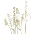 Florists Products Bastelnaturmaterial Cane Sortiment mini gebleicht 75 St – Dekorative Holzspiralen, 75 Stü