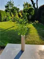 UE Stock Dekovase Baumstämmen Vase handgefertigt mit farbige Epoxidharz 24cm Höhe Grün, Blickfang in jedem Raum