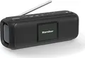 KARCHER DAB GO DAB Go DAB+/UKW-Radio mit Bluetooth (DAB GO)