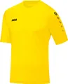 Trikot Team KA JAKO