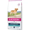 Eukanuba Breed Specific Labrador 12kg+Überraschung für den Hund