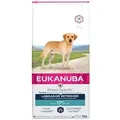 Labrador Retriever 12 kg