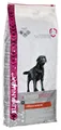 8710255121819 Trockenfutter für Hunde Breeds Nutrition Labrador Retriever Adult