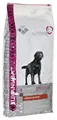 Eukanuba Breeds Nutrition Labrador Retriever Adult (12 kg)