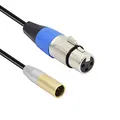MEIRIYFA Mini-XLR-Stecker auf XLR-Mikrofonkabel, Mini-XLR-3-poliger auf 3-poliger XLR-Karte Audiokabel für BMPCC 4K Kamera, Videoassistent (0,3 m) (Mini-XLR-Stecker auf XLR-Buchse)
