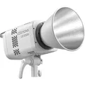 Godox LE300Bi white - Litemons LED Light Bi-Color (Videoleuchte) (D301951)