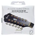 IACS12C Acoustic 12 String Set