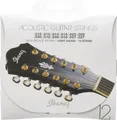 IBANEZ IACS12C Acoustic Light 12-Saiter 010-047