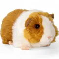 Carl Dick Meerschweinchen braun-weiß, ca. 20cm 2575001 Kuscheltier, Plüschtier