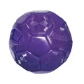 Kong Flexball für mittelgroße und große Hunde, All breeds of dog ,1 Stück (1er Pack)
