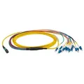 MTP®/APC(F)-LC Trunkkabel OS2 12 Fasern -- Typ B LSZH gelb 2m Glasfaserverkabelung MPO / MTP MTP +
