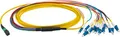 EFB Elektronik MTP®-F/LC 12-Fasermatrix Patchkabel OS2,LSZH gelb, 2m, Anwendung: Geeignet für Übertragungsstrecken bis