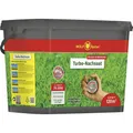 Wolf-Garten 3826052 - LR 120 TURBO-NACHSAAT 1 St. (Rasensamen) (3826052)