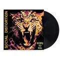 Social Distorsion - Born To Kill (2026) LP Vinyl Pre-sale