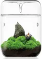 Kleines Glas-Pflanzenterrarium 12x17,5 cm Sukkulenten-Luftplanter, Terrarium