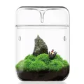 Kleines GlasPflanzenterrarium 12x17,5 cm SukkulentenLuftplanter Farnmoos Mikr...