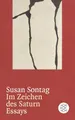 Im Zeichen des Saturn: Essays