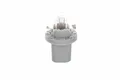 10x Glühlampe BOSCH 1 987 302 514