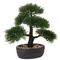 Kunstbonsai Zeder Kiefer naturgetreu Kunstpflanze Keramiktopf Schwarz Deko Tisch