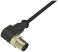 BKL Electronic 2702032 Sensor-/Aktor-Anschlussleitung M12 Stecker, gewinkelt 10m Polzahl Sensoren: 4