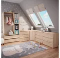 Vicco Kleiderschrank Elmo, Sonoma, 100 x 200 cm mit 2 Schubladen (1-St)