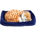 Perfect Petzzz weiche rotgetigerte Katze 92547 - Orange