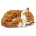 Perfect Petzzz 92547 Getigertes Kätzchen - orange