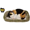 Adopt Me Atmungsaktive Kätzchen Dreifarbig Perfect Petzzz