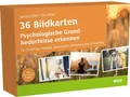 36 Bildkarten Psychologische Grundbedürfnisse erkennen Sandra Diller
