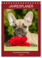 Sigrid Starick | Jahresplaner Französische Bulldogge (Tischkalender 2026 DIN...