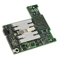 Dell Intel - Netzwerkadapter - 10 GigE - 2 Anschlüsse (Mini PCI Express) (540-10903)