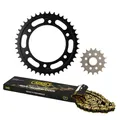 Kettensatz AFAM passend für KTM 1290 Adventure 2015-2023 17x42 118M (ursprüngl
