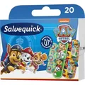 Salvequick Paw Patrol 20 St.