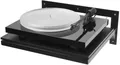Pro-Ject Lautsprecher-Wandhalterung Pro-Ject Wallmount it 1