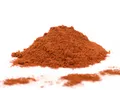 Chili Habanero (gemahlen) - scharfes Chilipulver - gemahlene Habaneros - 20g