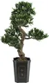 EUROPALMS Bonsai Podocarpus, Kunstpflanze, 80cm (82600116)