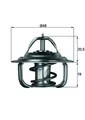 MAHLE TX 1 87D Thermostat, Kühlmittel für AUDI,CHEVROLET,DAEWOO,FORD,FORD OTOSAN