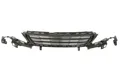 BLIC 6502-07-5519992P Kühlergrill für Peugeot