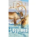 Lesereise Lappland