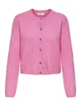 Jdychloe Life L/S Cardigan KNT Noos