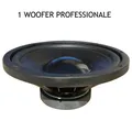 1 MASTER AUDIO Ma25w/8 Woofer Profi 25 CM 250 Watt RMS Federung Gummi
