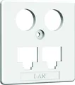 Homeway HW-ZP EK1 LAN/LAN Zentral. 50mm rws HAXHSE-G0401-C021